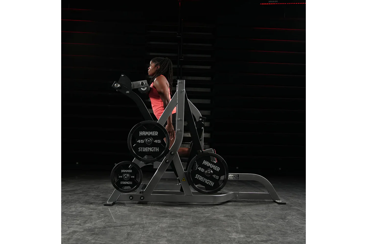 Hammer Strength Assisted Nordic Ham - Image 7