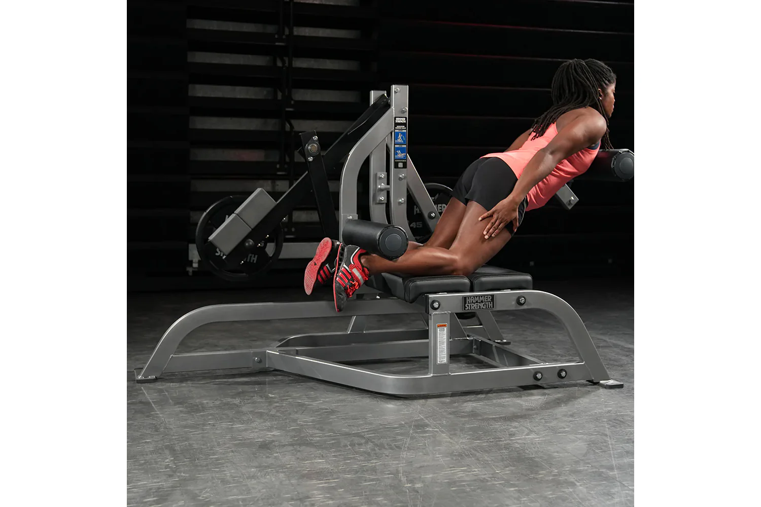 Hammer Strength Assisted Nordic Ham - Image 9