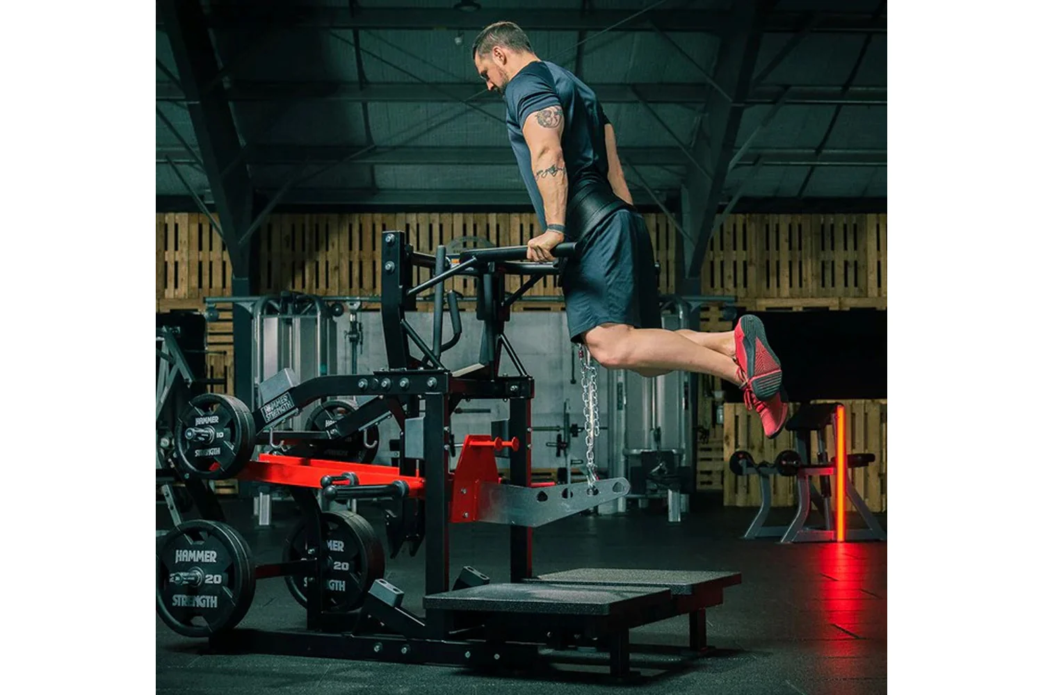 Hammer Strength Plate-Loaded Belt Squat Machine - Image 24