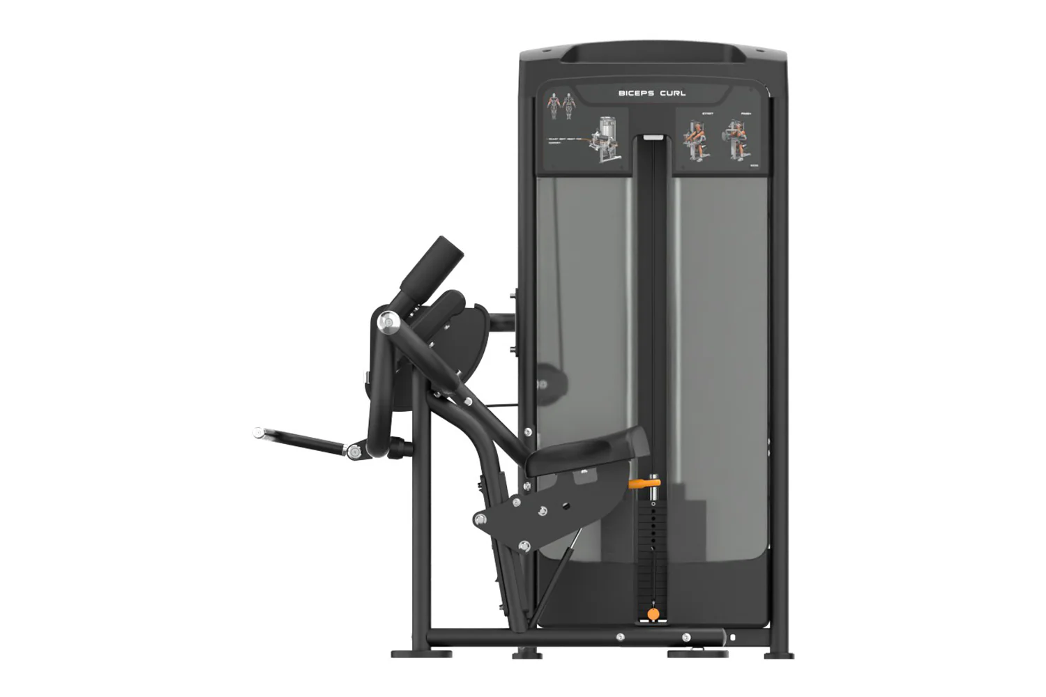Warrior Elite Commercial Series Biceps Curl (🧨JULY 4th SALE - Extra 5%) - Image 2