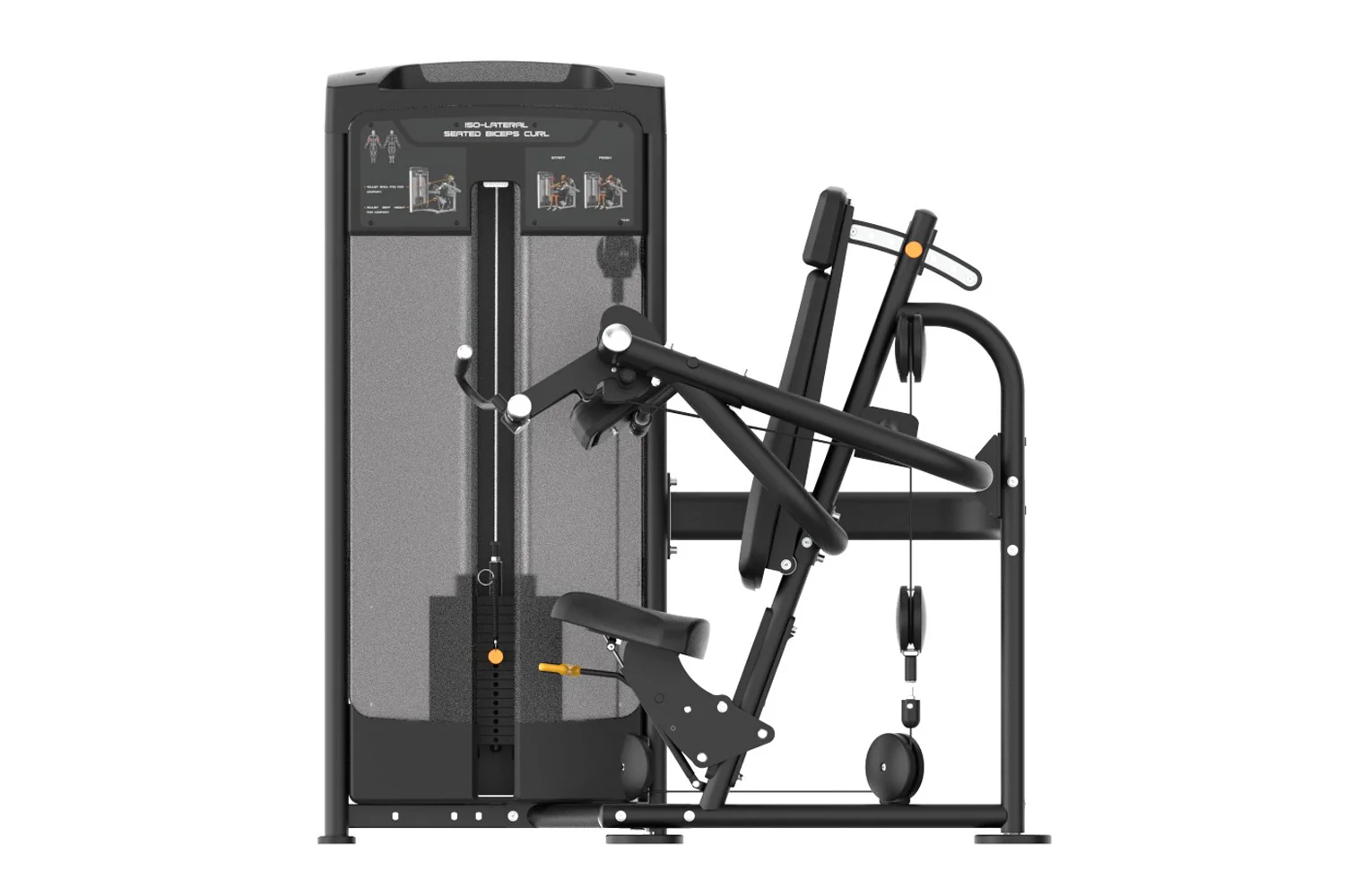 Warrior Elite Commercial Series Iso-lateral Seated Biceps Curl (🧨JULY 4th SALE - Extra 5%) - Image 2