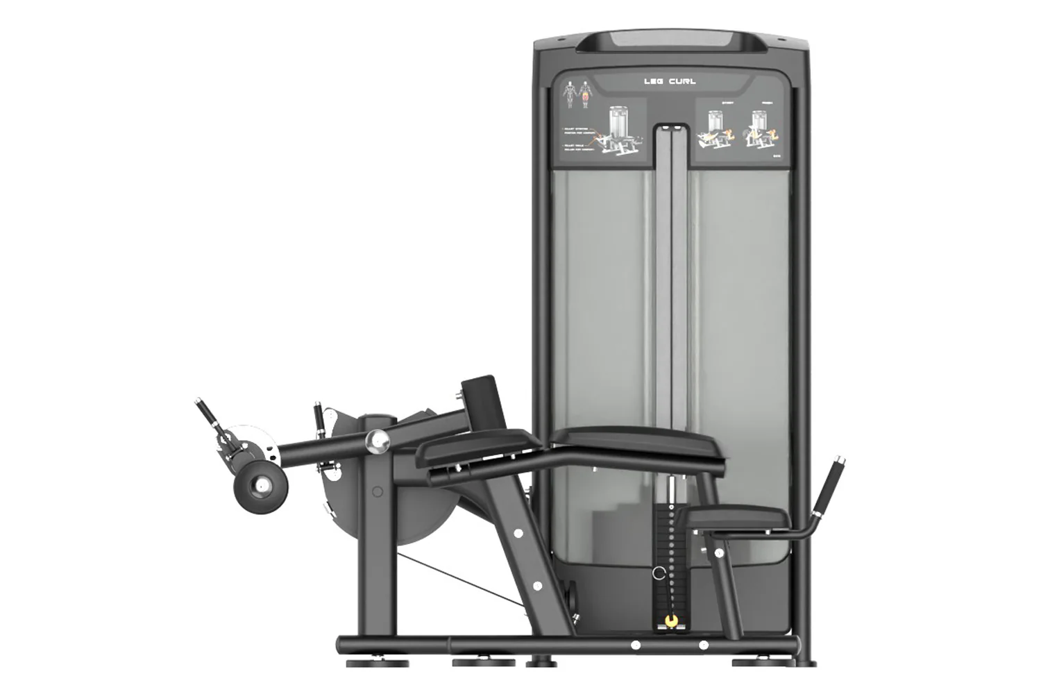 Warrior Elite Commercial Series Leg Curl (🧨JULY 4th SALE - Extra 5%) - Image 4