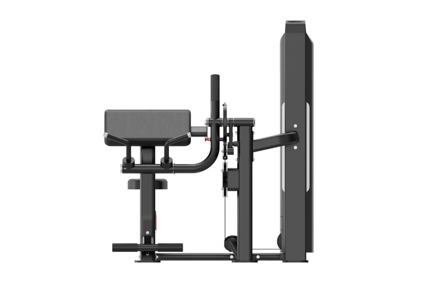 Warrior Pro Commercial Series Biceps/Triceps (🧨JULY 4th SALE - Extra 5%) - Image 3