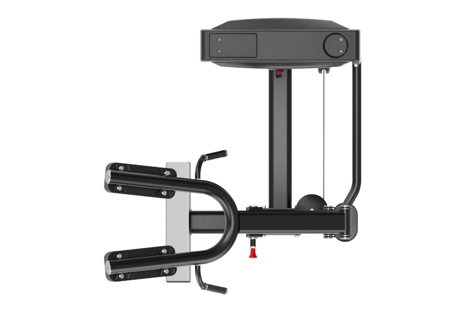 Warrior Pro Commercial Series Calf Raise (🧨JULY 4th SALE - Extra 5%) - Image 3